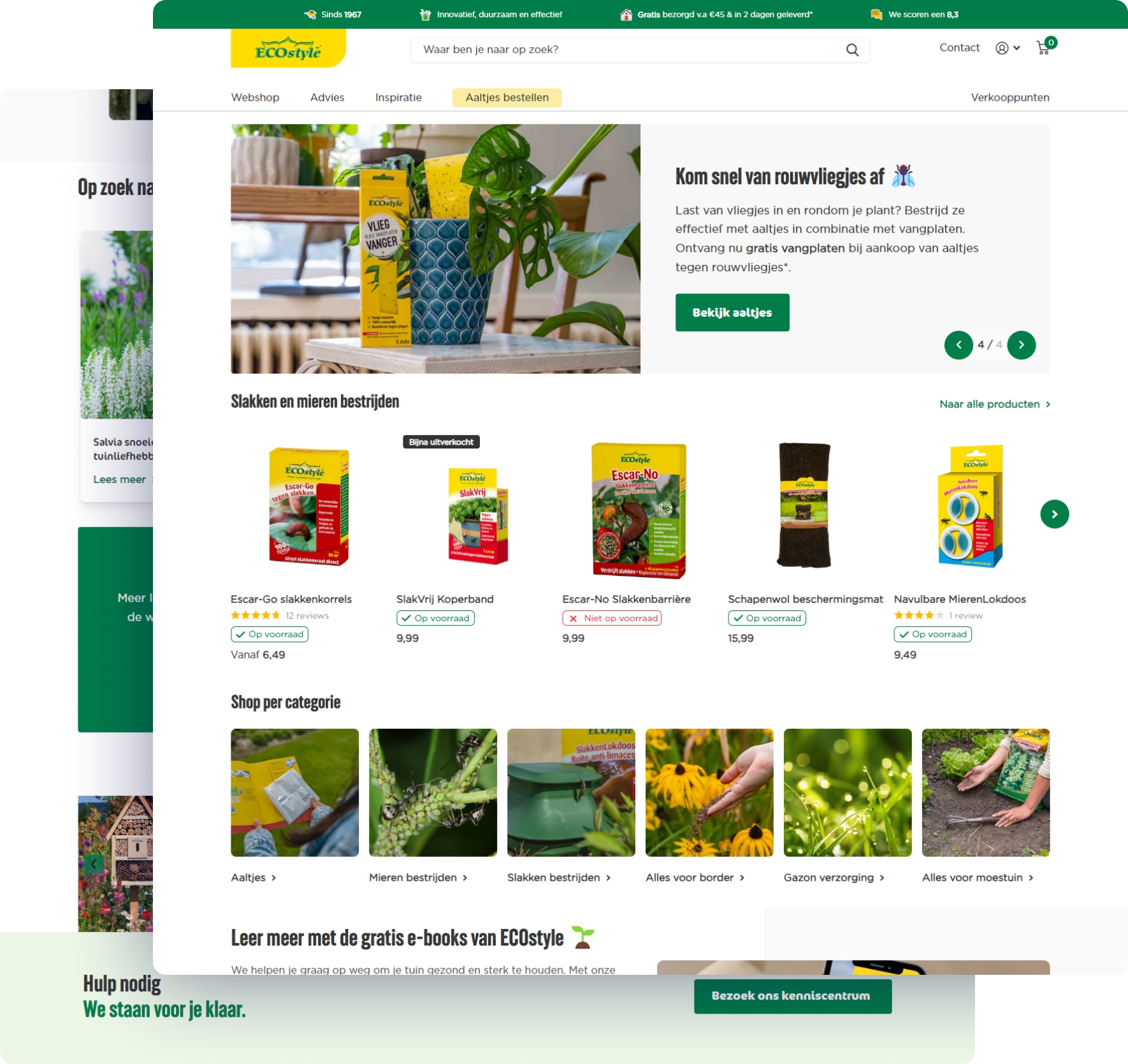 Ecostyle Website 1 Nedfinity