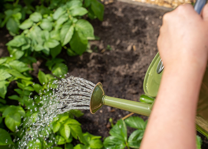 Ecostyle Content 2 Nedfinity