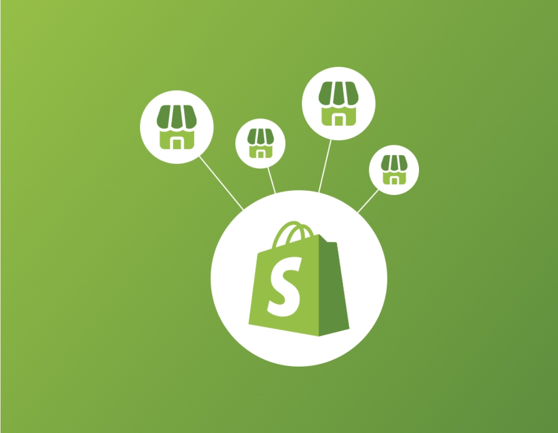 Multistore In Shopify Nedfinity