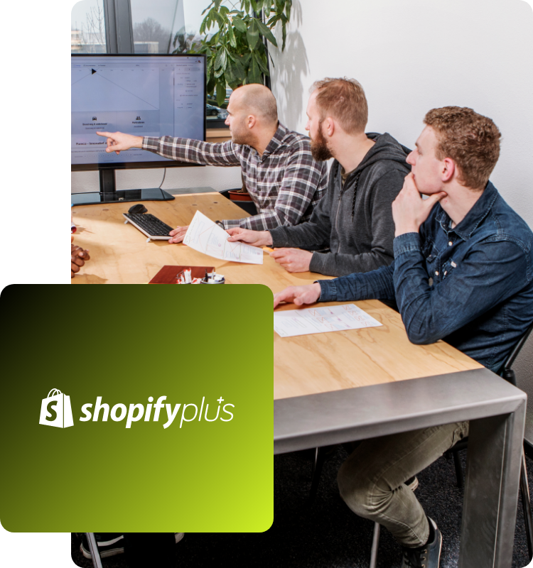 Shopify Partner