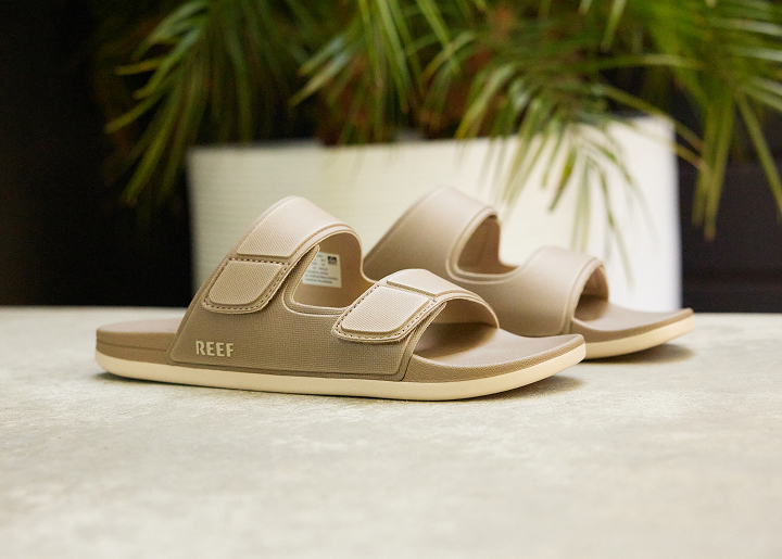 Ffwd Website 1 Nedfinity