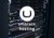 Umbraco hosting voor een succesvolle website